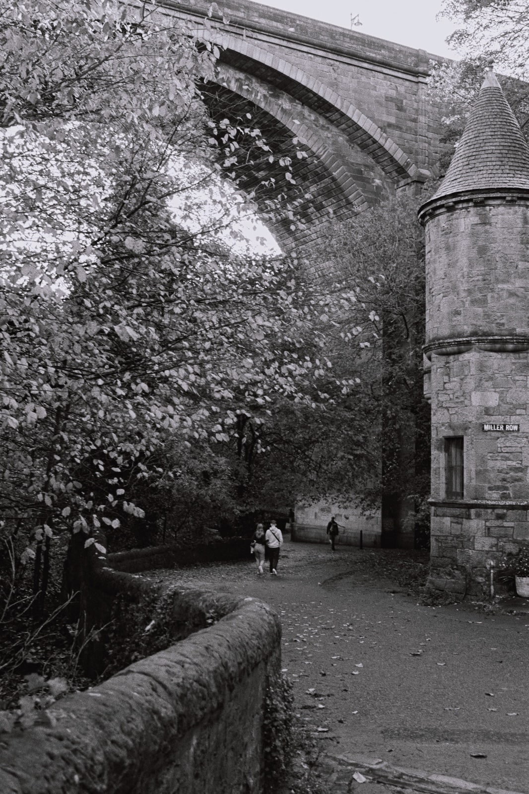 Shot from my Yashica FX-D