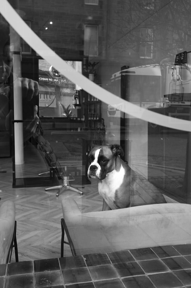 Leica M11 Monochrom photo 08