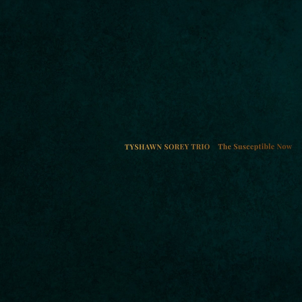 The Susceptible Now cover