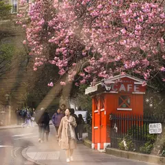 Portfolio image